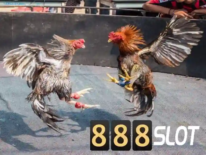 💎jackpot slot machine💎