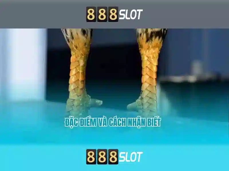 💎casino games play free slots💎