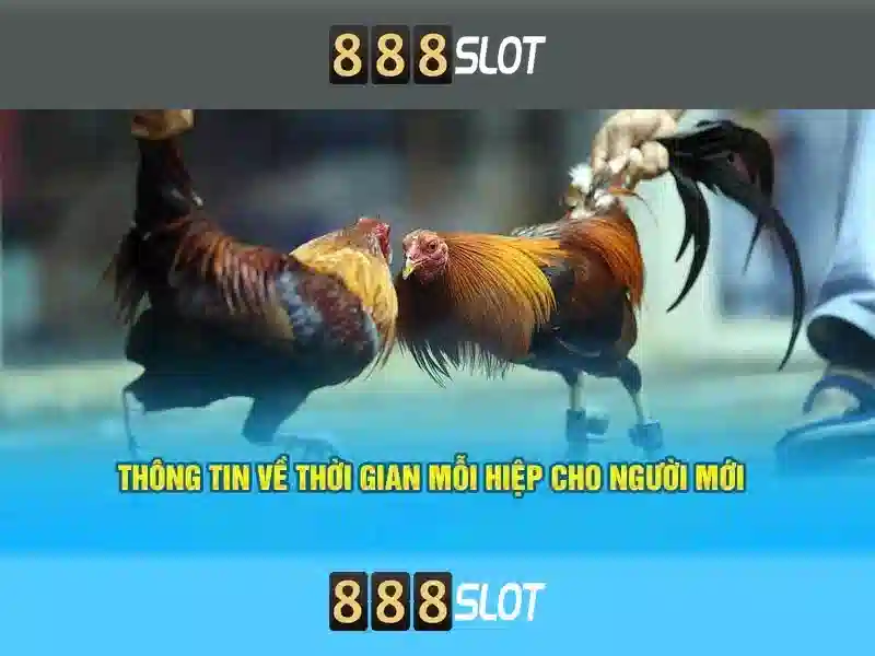 website 888SLOT - 888slot