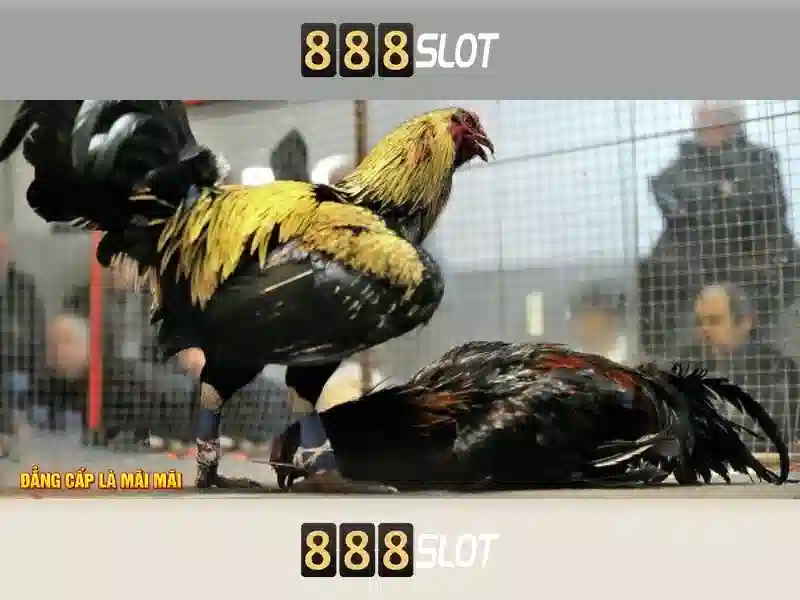 💎rainbow riches slots💎