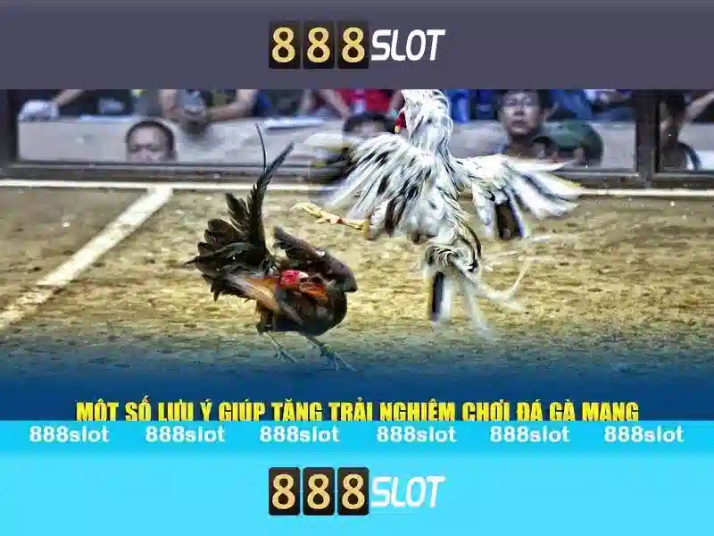 mã khuyến mãi Slot 2026 - 888slot