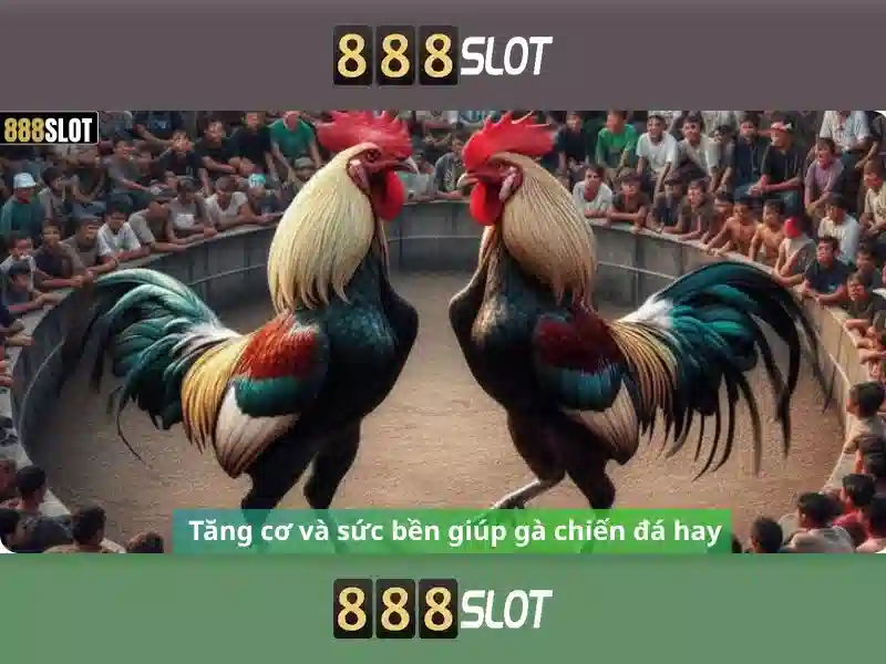 💎cài gcafe tại nhà💎