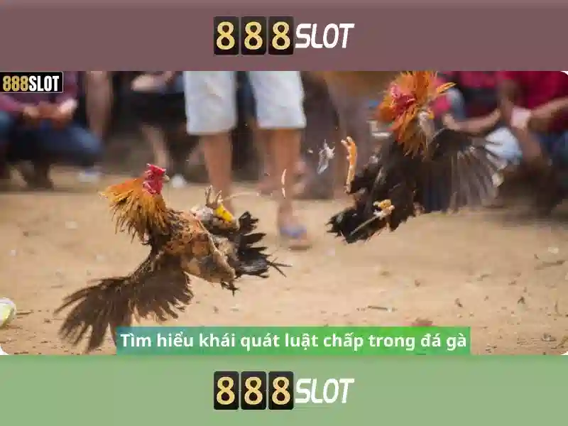 💎888slot slot football player💎