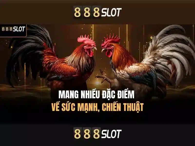 💎app cá cược uy tín💎