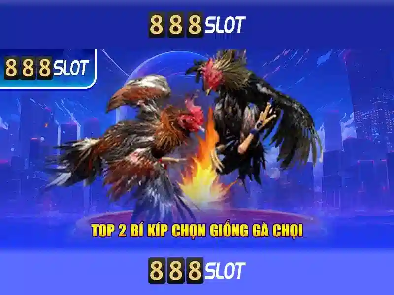 💎ty le ca cuoc asian cup💎