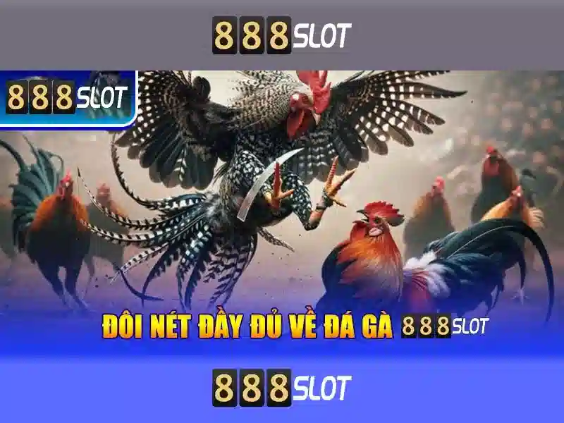 💎triciclos electricos hb88💎