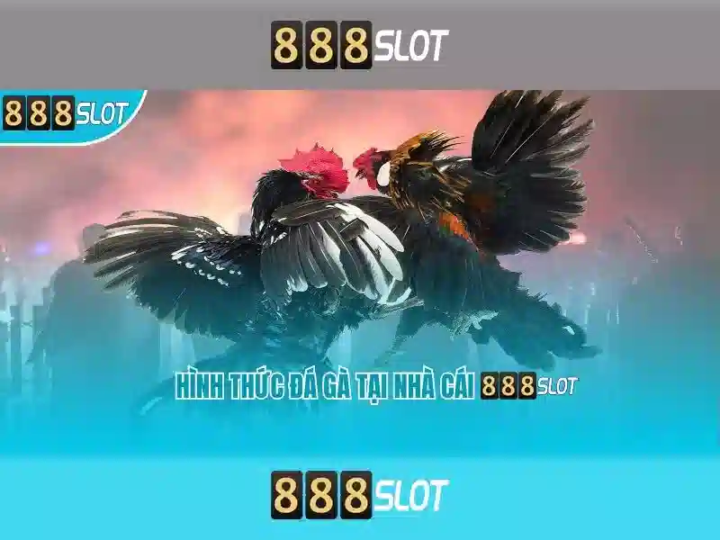 💎link vào nhà cái v9bet88 topnhacaivn💎