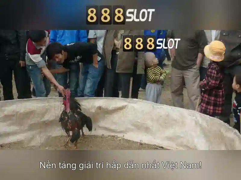 💎tai app xn88💎 - xn88 001encipherment.sa.com - xn88 bshrf