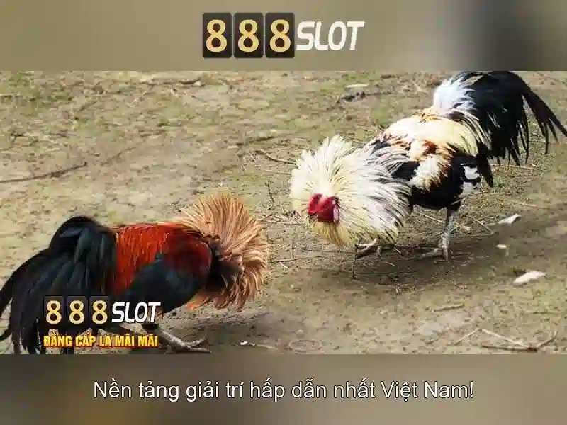 💎ti lệ cá cược hôm nay💎