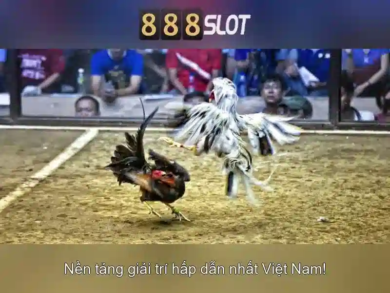 💎top 10 nhà cái uy tín nhất số 1💎