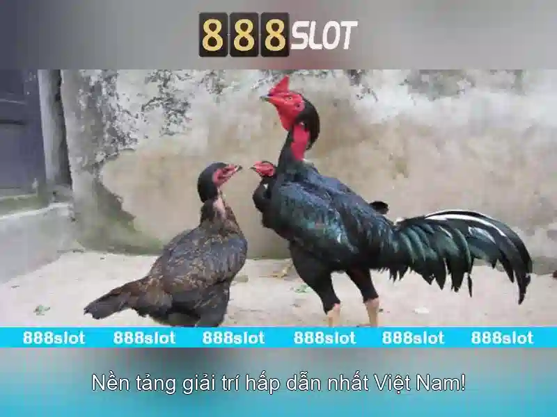 đăng ký slot 888 bet - 888slot