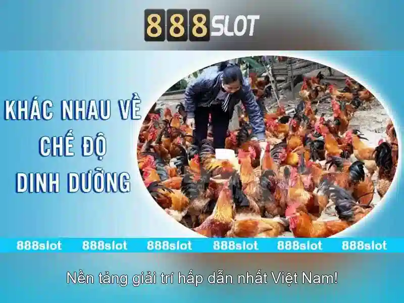 💎link ca cuoc lol💎