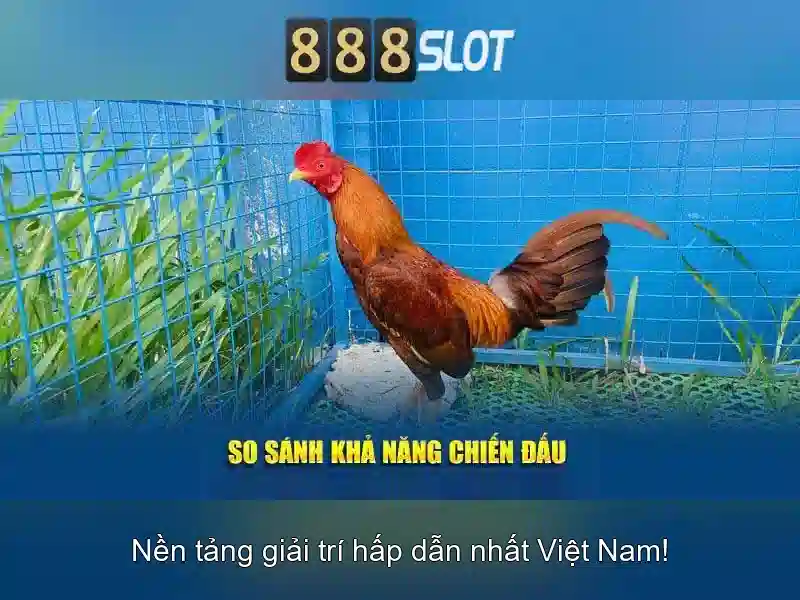 💎888 slot slot instagram💎
